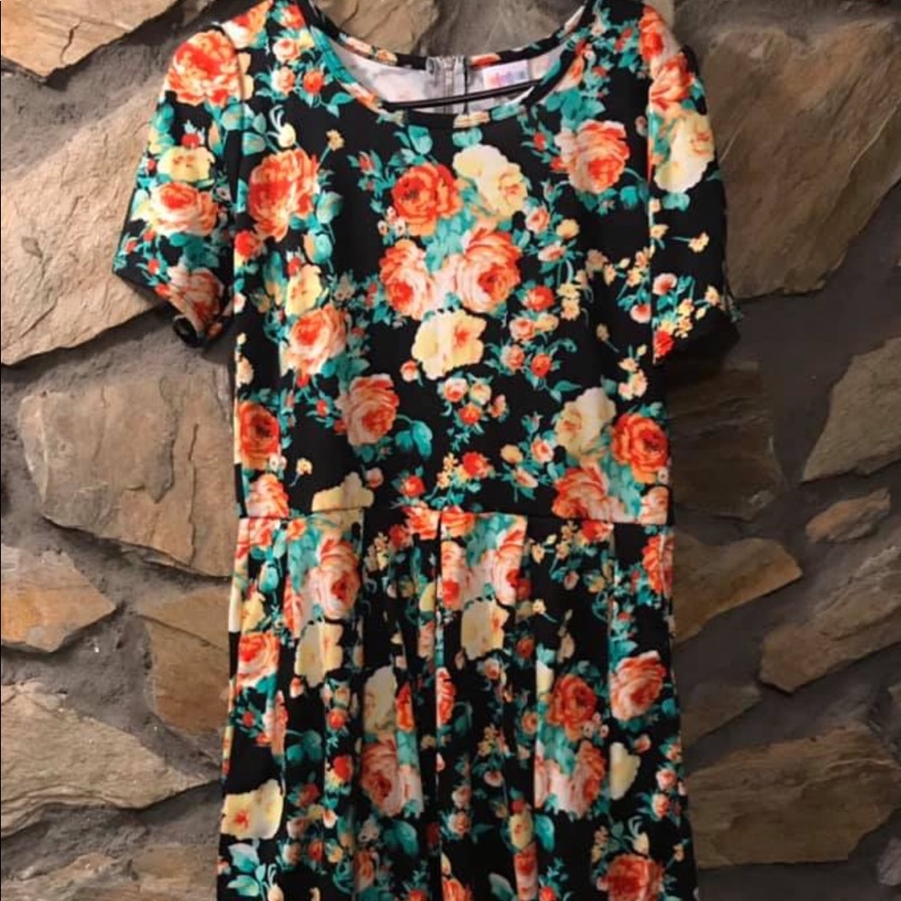 XL Amelia